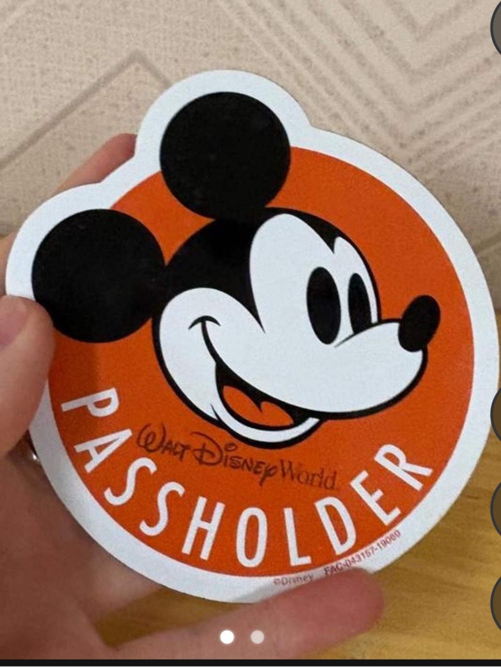 Disney Annual Passholder Mickey Magnet